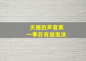 天赐的声音第一季苏有朋泡沫