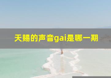 天赐的声音gai是哪一期