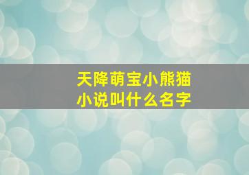 天降萌宝小熊猫小说叫什么名字