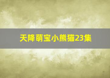 天降萌宝小熊猫23集