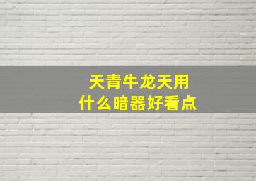 天青牛龙天用什么暗器好看点