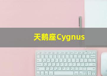 天鹅座Cygnus