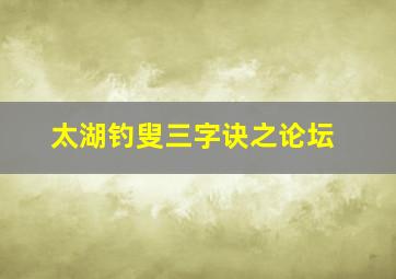 太湖钓叟三字诀之论坛