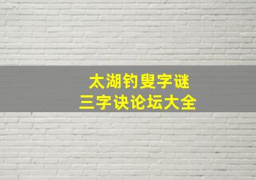 太湖钓叟字谜三字诀论坛大全