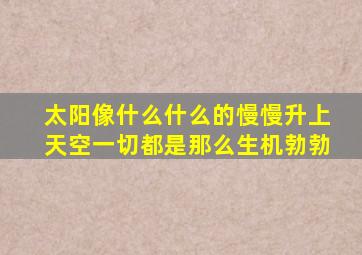 太阳像什么什么的慢慢升上天空一切都是那么生机勃勃