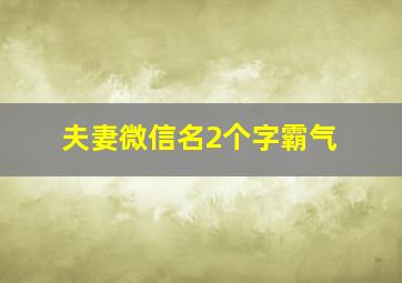 夫妻微信名2个字霸气