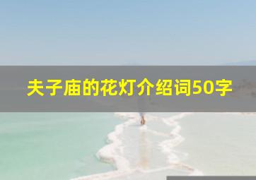 夫子庙的花灯介绍词50字