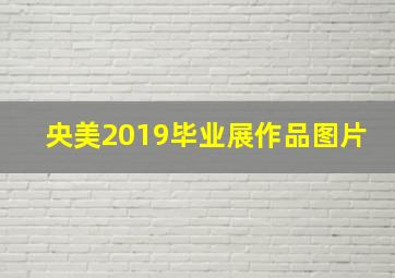 央美2019毕业展作品图片