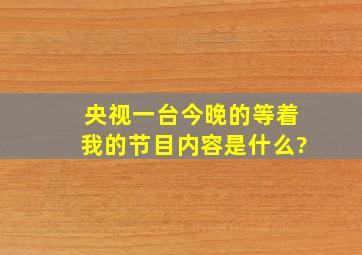 央视一台今晚的等着我的节目内容是什么?