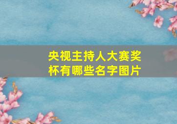 央视主持人大赛奖杯有哪些名字图片