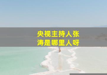 央视主持人张涛是哪里人呀