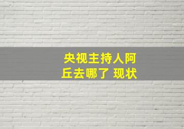 央视主持人阿丘去哪了 现状