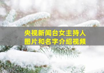 央视新闻台女主持人图片和名字介绍视频