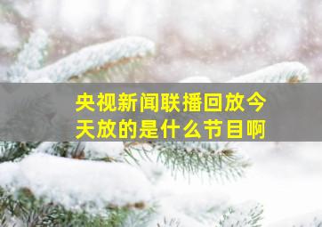 央视新闻联播回放今天放的是什么节目啊