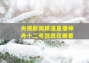 央视新闻频道直播神舟十二号回放在哪看