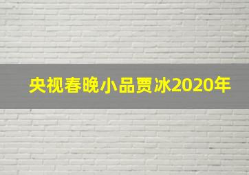 央视春晚小品贾冰2020年