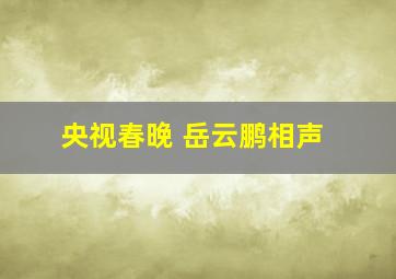 央视春晚 岳云鹏相声