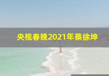 央视春晚2021年蔡徐坤