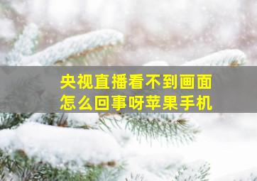 央视直播看不到画面怎么回事呀苹果手机