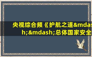 央视综合频《护航之道——总体国家安全观纵横》