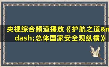 央视综合频道播放《护航之道—总体国家安全观纵横》