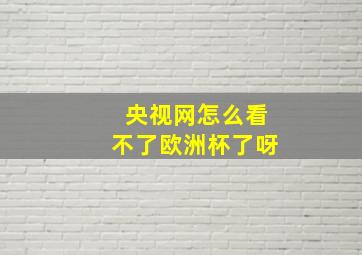 央视网怎么看不了欧洲杯了呀