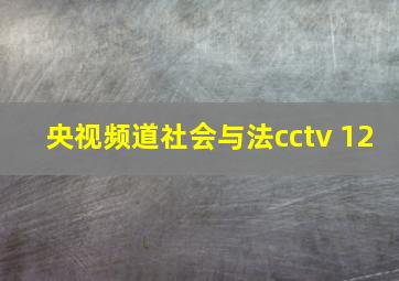 央视频道社会与法cctv 12