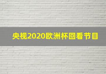 央视2020欧洲杯回看节目