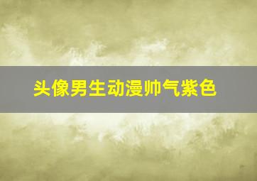 头像男生动漫帅气紫色