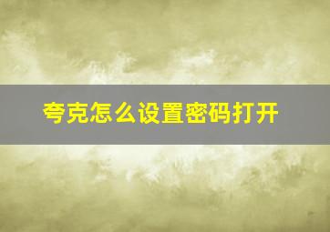 夸克怎么设置密码打开