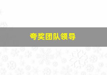 夸奖团队领导