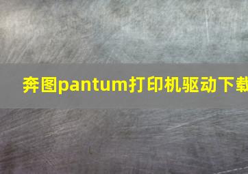 奔图pantum打印机驱动下载