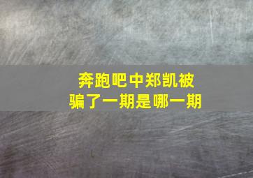 奔跑吧中郑凯被骗了一期是哪一期