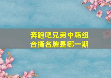 奔跑吧兄弟中韩组合撕名牌是哪一期