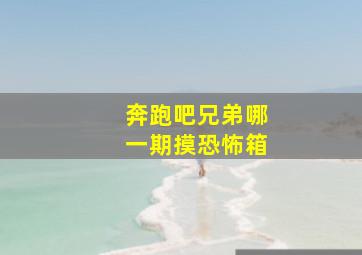 奔跑吧兄弟哪一期摸恐怖箱