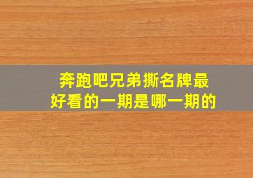 奔跑吧兄弟撕名牌最好看的一期是哪一期的