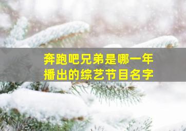 奔跑吧兄弟是哪一年播出的综艺节目名字