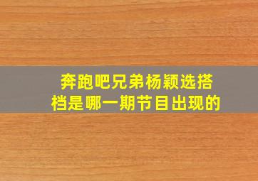 奔跑吧兄弟杨颖选搭档是哪一期节目出现的