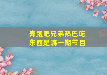 奔跑吧兄弟热巴吃东西是哪一期节目