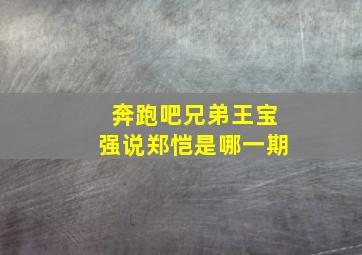 奔跑吧兄弟王宝强说郑恺是哪一期