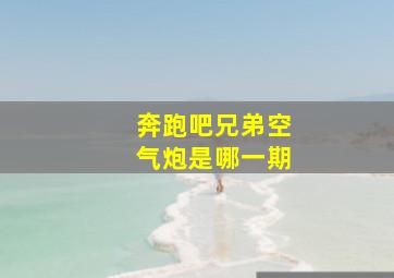 奔跑吧兄弟空气炮是哪一期