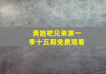 奔跑吧兄弟第一季十五期免费观看