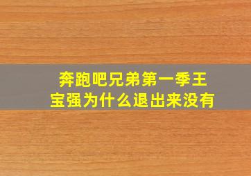 奔跑吧兄弟第一季王宝强为什么退出来没有