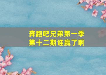 奔跑吧兄弟第一季第十二期谁赢了啊