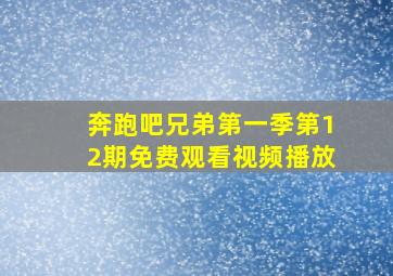 奔跑吧兄弟第一季第12期免费观看视频播放