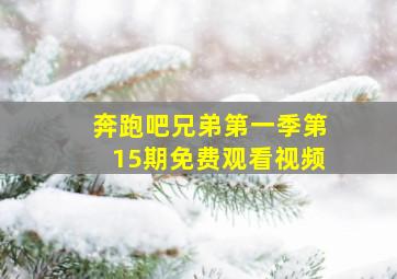 奔跑吧兄弟第一季第15期免费观看视频