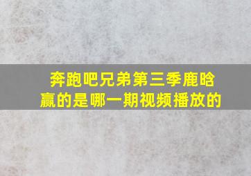 奔跑吧兄弟第三季鹿晗赢的是哪一期视频播放的