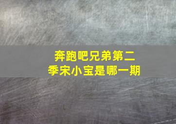 奔跑吧兄弟第二季宋小宝是哪一期