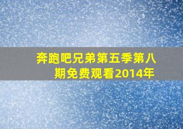 奔跑吧兄弟第五季第八期免费观看2014年