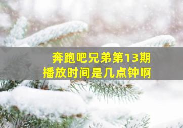 奔跑吧兄弟第13期播放时间是几点钟啊